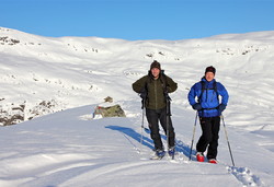 Tortnefjellet