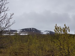 Tovikfjellet