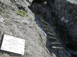 Gygrekjeften taustige og klyvepunkter