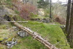 Frk. Ingebrigtsens hytte (ruin)