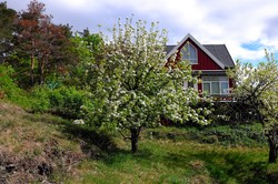 Lindøya høyeste punkt