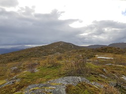 Snaufjellet
