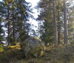 Kroktjernkollen