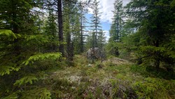 Sørøst for Nedre Røytjern