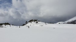 Berrmyrhaugan nordøst