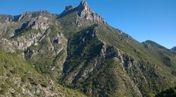 Cerro Cisne