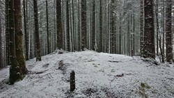 Storåsen i Hordnesskogen