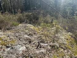 Igletjernhøgda trigpunkt