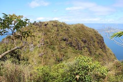 Maculot Rockies