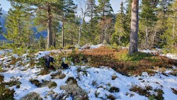 Sør for Hanskonatten