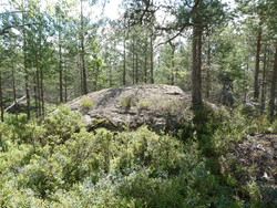 Vårbuåsen