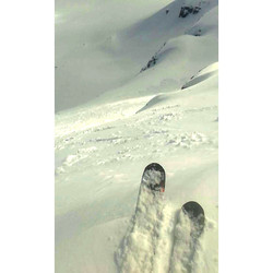 Fulånebba, østrute på ski