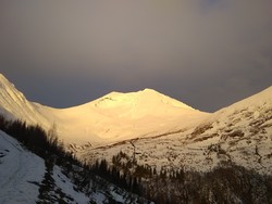 Nordvest for Saudehornet