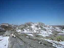 Austrefjellet