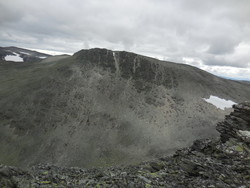 Langfonnskridulaupen