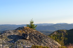 Nord for Vrålstjønn