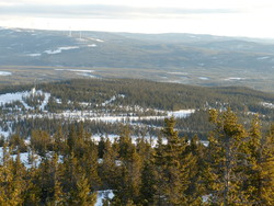 Tørråsen