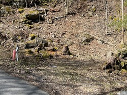 Reneflotvegen p-lomme