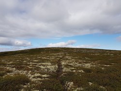 Rennefjellet nordaust