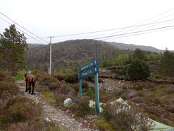 Rylandshornet normalrute