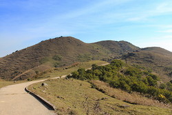 Tai Mo Shan East Summit