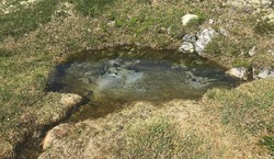 Olle under Nordre Sålekinna