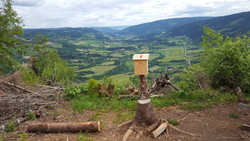 Brathovdekollen utsiktspunkt