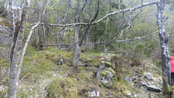 Tuft V for Liafjellet, Løvstakken