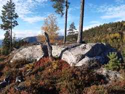 Spirdalsnutane Nordvest