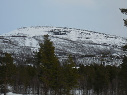 Kongelberget
