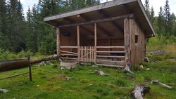 Turthaugvegen gapahuk