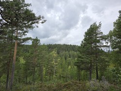 Tretjennsåsen Nordøst