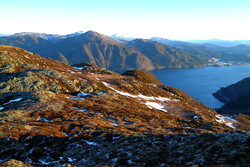Høglinebba