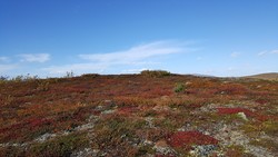 Nordre Vågskardfjellet