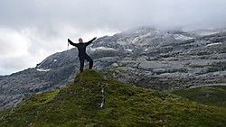 Gråskorvenuten