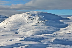 Blåholten