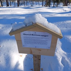 Oserud-Bentzen-vangen