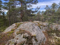 Ulvberget