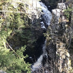 Djevelens punsjbolle