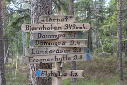 Bjørnholen