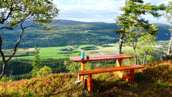 Kvilbænken Hestleia