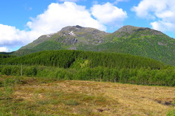 Vågsfjellet