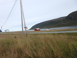 Arnøyhøgda stistart