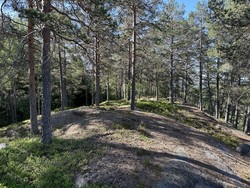 Dausjøberget