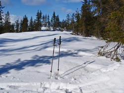 Øst for Ringsrudåsen