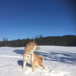 Kvernbekken parkering