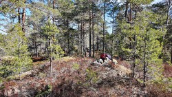 Vest for Skådalstjenn