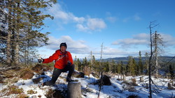 Halsteinåsen Nordøst