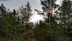 Furefjellet