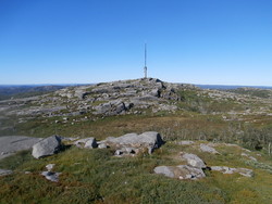 Kaldåsknipa mast